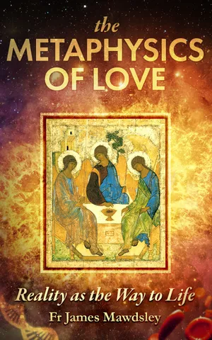Cover of The Metaphysics of Love
