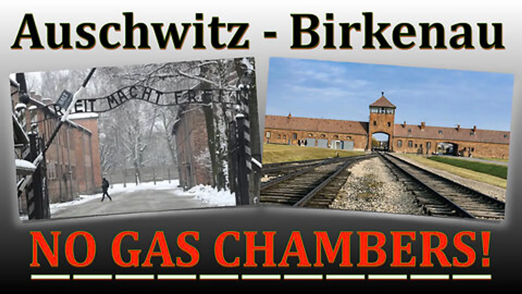 Cover for HN5: Auschwitz-Birkenau -- NO GAS CHAMBERS